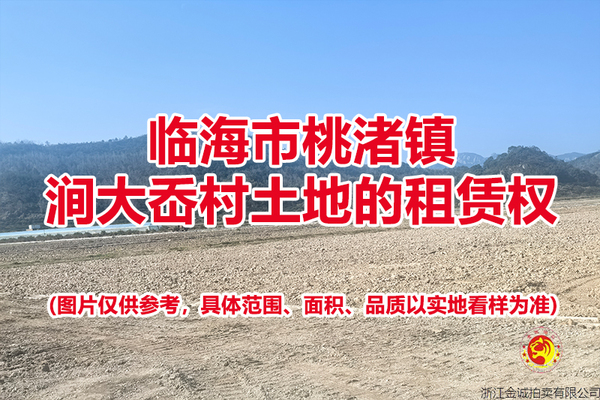 临海市桃渚镇涧大岙村土地的租赁权